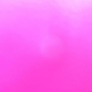 Meet your Posher, Gina